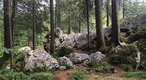 vavtrade.hu. Hintersee Zauberwald